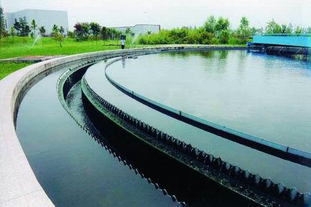 污水处理厂专用活性炭案例